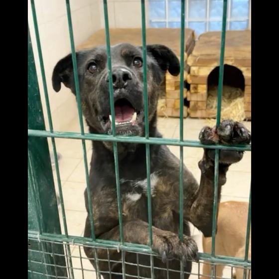 Embedded thumbnail for Milly