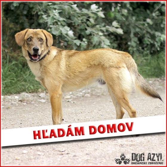 Embedded thumbnail for Spooky - adoptovaný