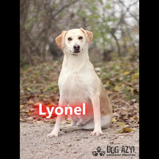 Embedded thumbnail for Lyonel - adoptovaný