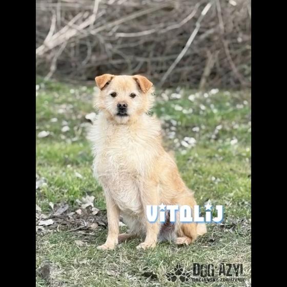 Embedded thumbnail for Vitalij