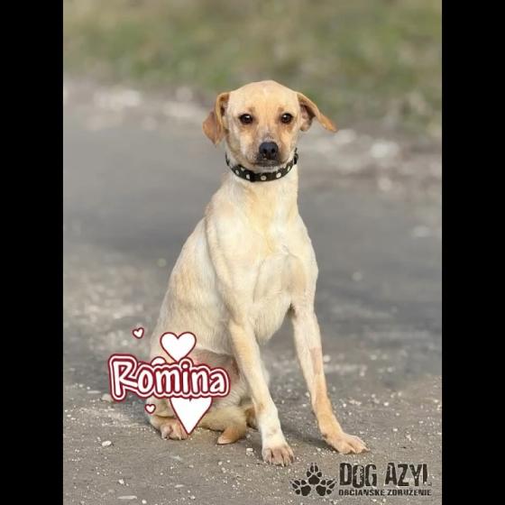 Embedded thumbnail for Romina - adoptovaný