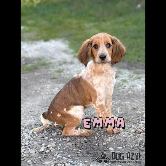 Embedded thumbnail for Emma - adoptovaná