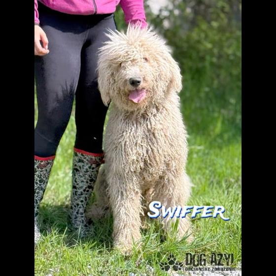 Embedded thumbnail for Swiffer - adoptovaný