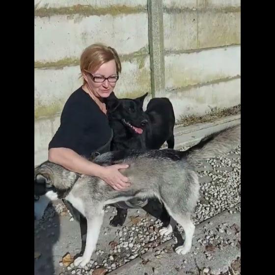 Embedded thumbnail for Bronx - adoptovaný