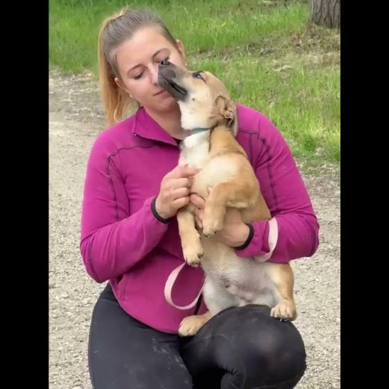 Embedded thumbnail for Caledon - adoptovaný